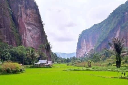 Paket Wisata