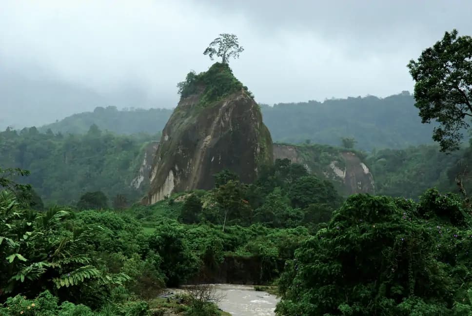 Bukit Aua Sarumpun