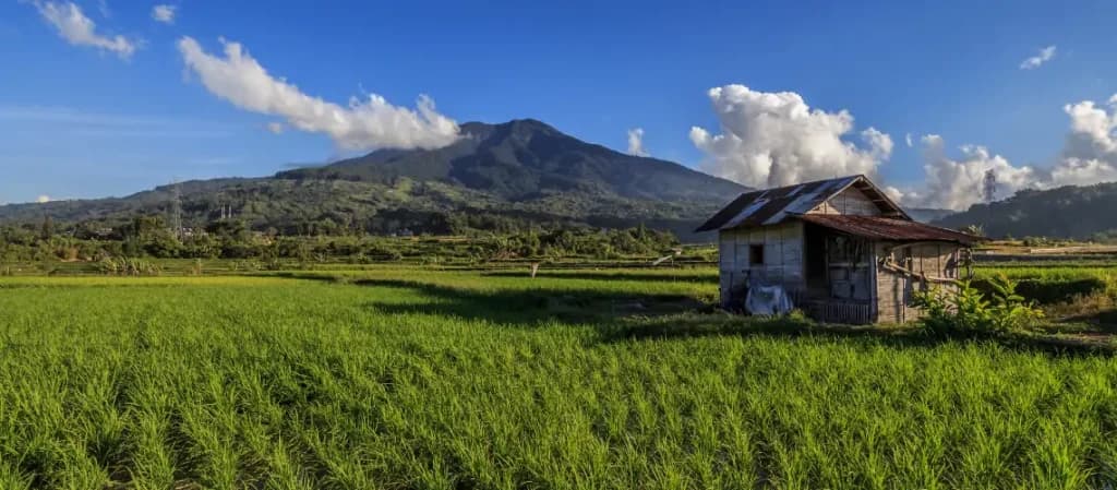 Gunung Singgalang