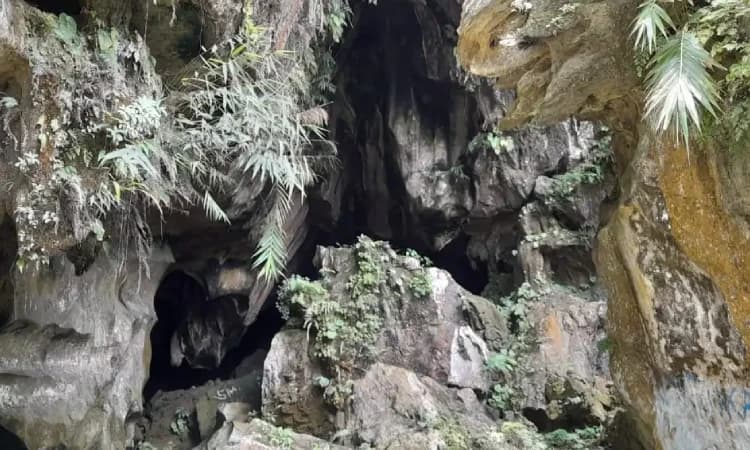 Wisata goa kelelawar, Sumber: langgam.id