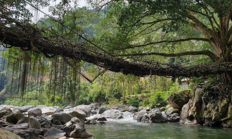 Destinasi Hits di Pesisir Selatan, Sumatera Barat – Liburan Makin Seru!”