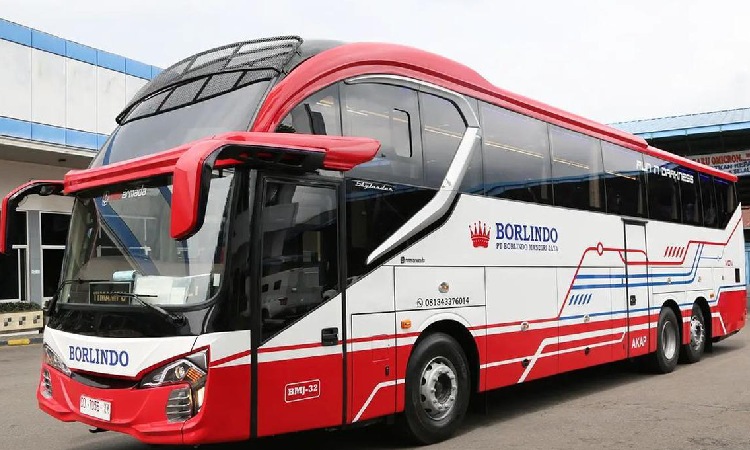 Tips bus super high deck, Sumber: otosia.com