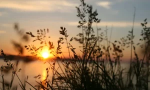 Sunset, Sumber: pexels.com