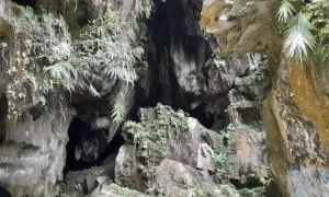 Wisata goa kelelawar, Sumber: langgam.id